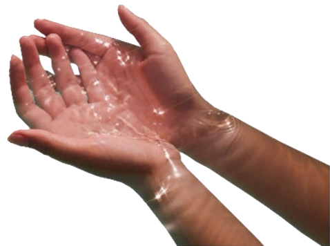 woman's hands holding water